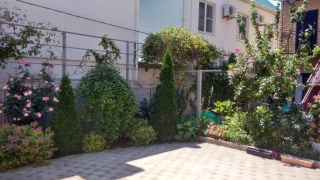 Сукко: Меблированные комнаты Антипов