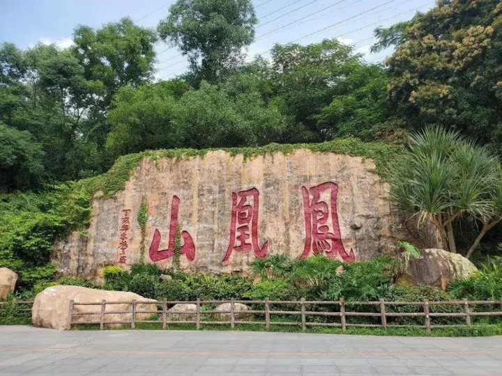 Шэньчжэнь: Vienna Int Hotel Shenzhen Songgang Wanzhao Square