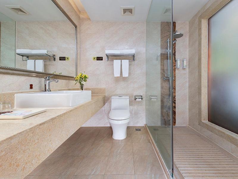 Шэньчжэнь: Vienna Hotel Shenzhen Pingshan Highway Station