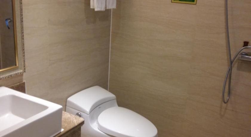 Цзеян: Vienna International Hotel