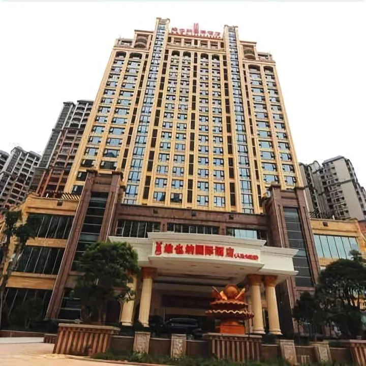 Цзеян: Vienna International Hotel