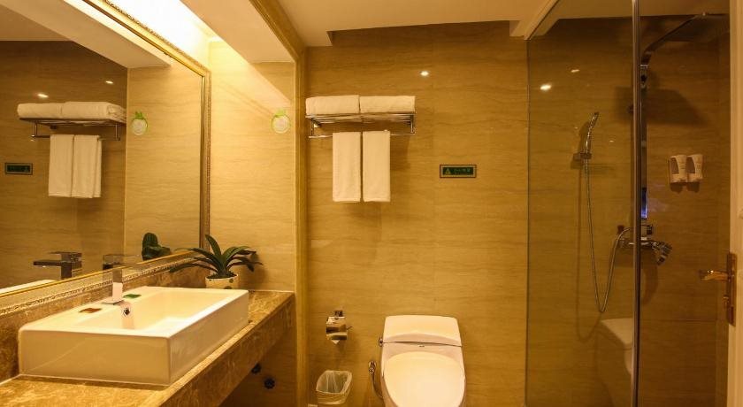 Цзеян: Vienna International Hotel