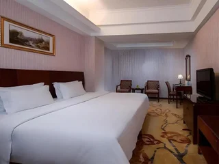 Шэньчжэнь: Vienna Hotel Shenzhen Yinhu