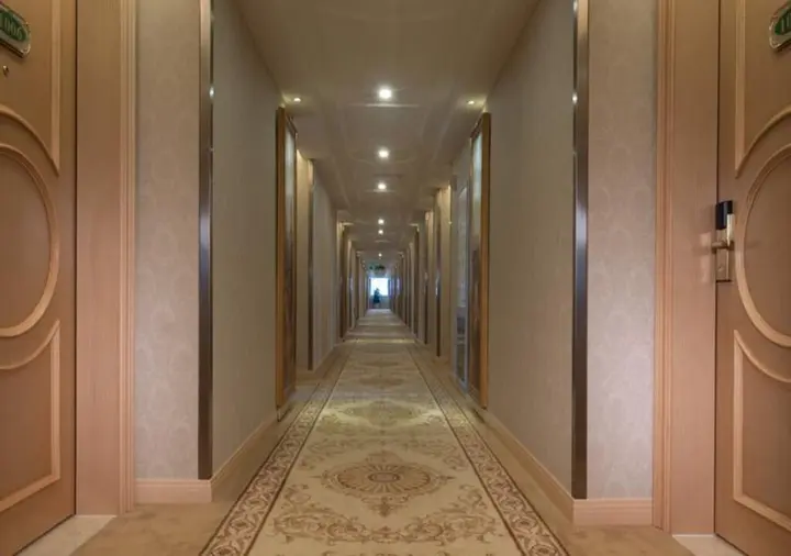 Шэньчжэнь: Vienna Hotel Shenzhen International