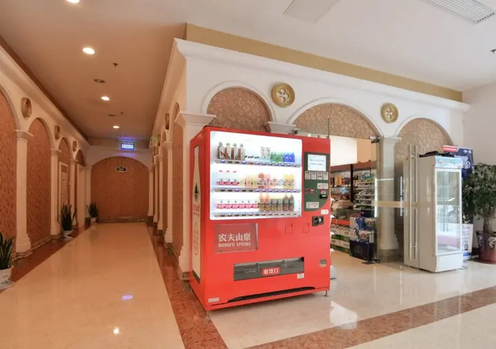 Шанхай: Vienna International Songjiang Branch