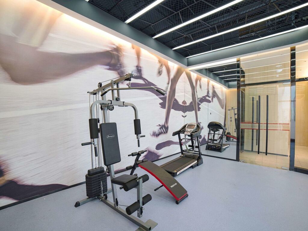 Чэнду: Ibis Chengdu Hi-Tech Zone Longhu Hotel