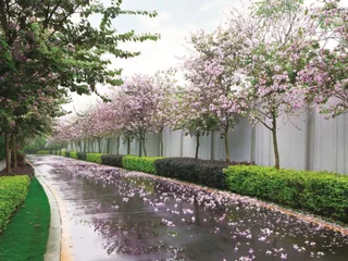 Гуйлинь: Shanshui Villa Hotel