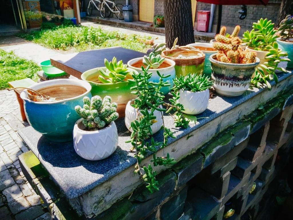 Цзиньчжун: Pingyao Langji International Youth Hostel