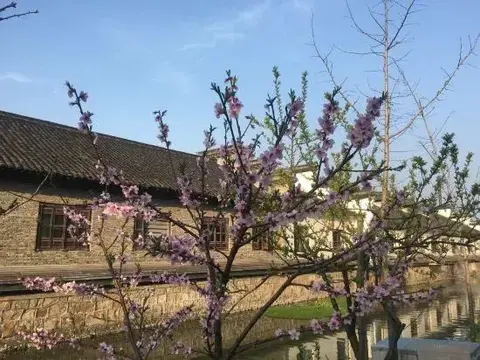 Цзясинь: Wuzhen Flower House