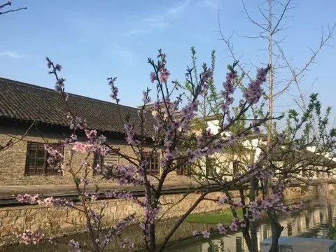 Цзясинь: Wuzhen Flower House