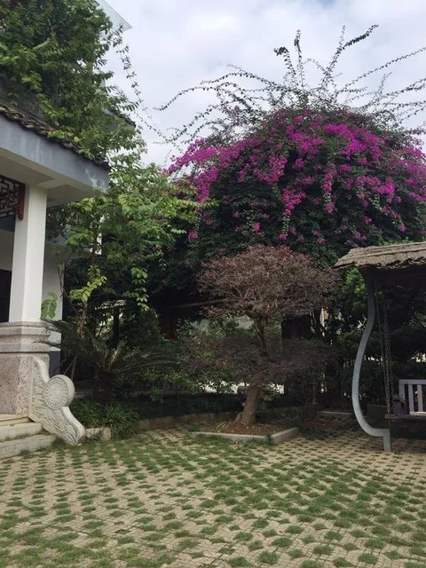 Яншо: Yangshuo LanShengge Hotel
