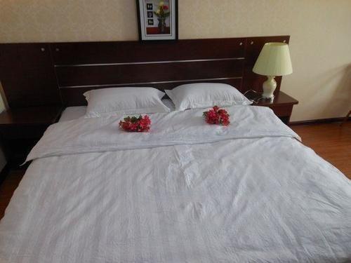 Сиань: Xian Zhenlian Business Hotel