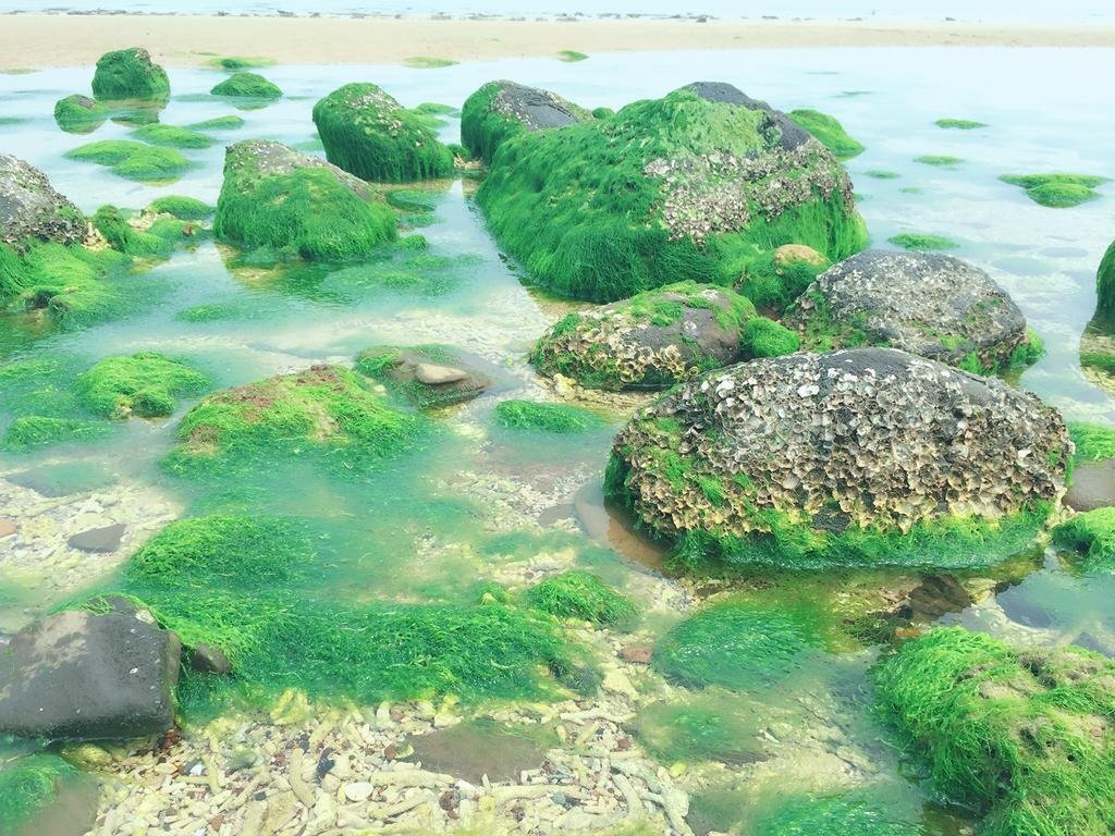 Бэйхай: Beihai Weizhou Island Small Time Inn