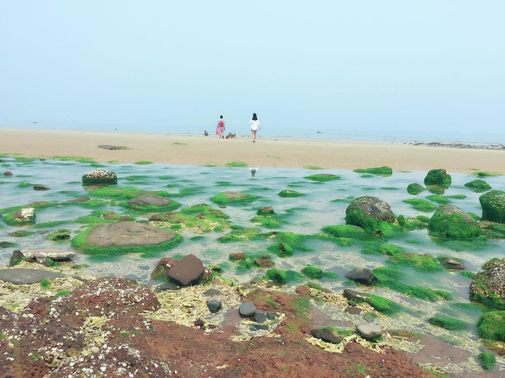 Бэйхай: Beihai Weizhou Island Small Time Inn