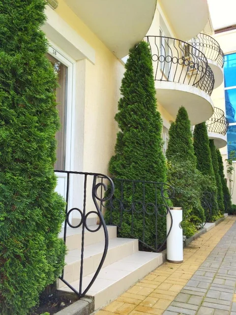 Архипо-Осиповка: Zolotoy Kashtan Guest House