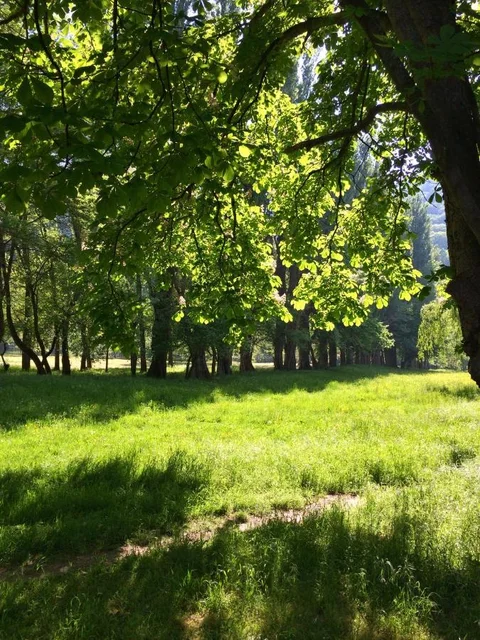 Архипо-Осиповка: Zolotoy Kashtan Guest House