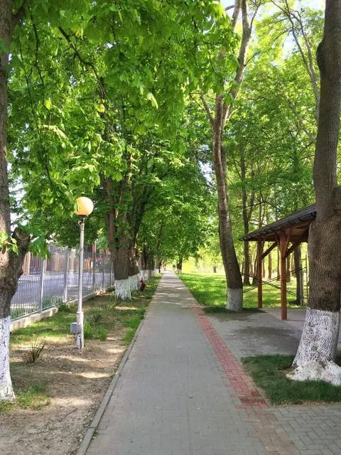 Архипо-Осиповка: Zolotoy Kashtan Guest House