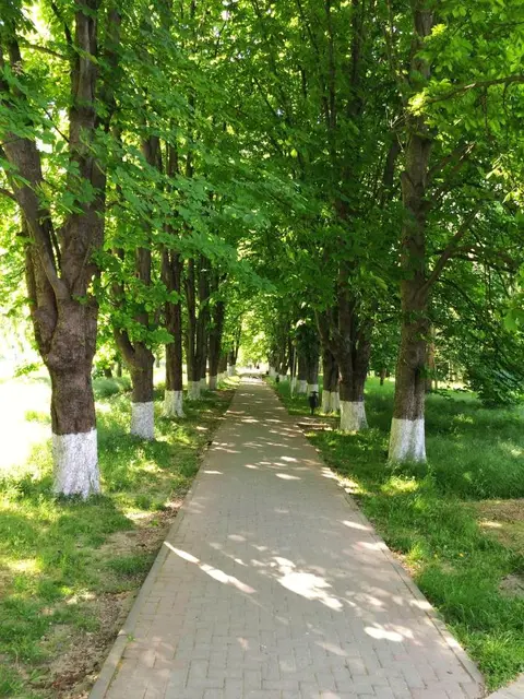 Архипо-Осиповка: Zolotoy Kashtan Guest House