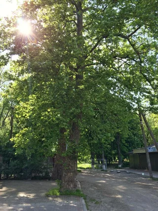 Архипо-Осиповка: Zolotoy Kashtan Guest House