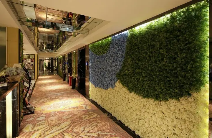 Чунцин: Chongqing Dongmo Hotel