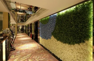 Чунцин: Chongqing Dongmo Hotel