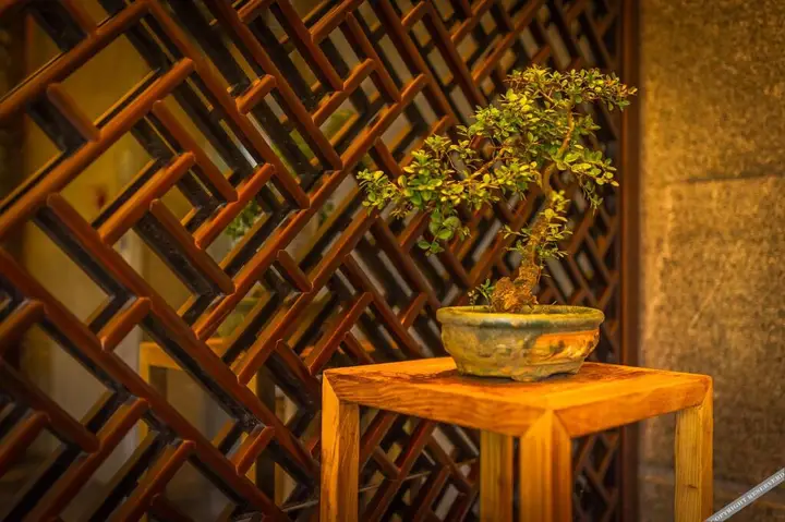 Yangshuo Spring Hill Hotel — фото 4