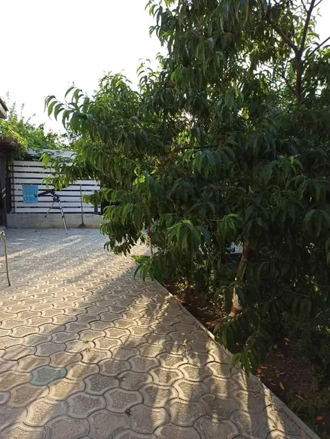 Сукко: Guest house Viktoria