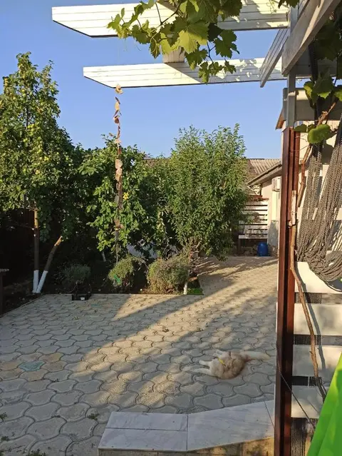 Сукко: Guest house Viktoria