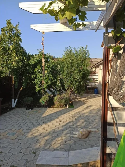 Сукко: Guest house Viktoria