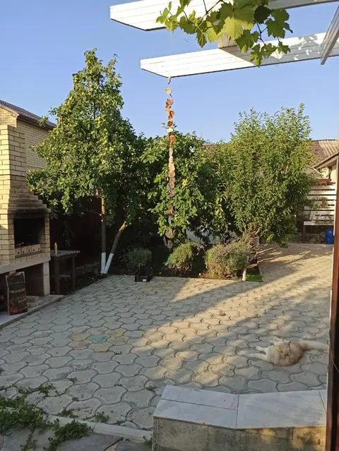 Сукко: Guest house Viktoria