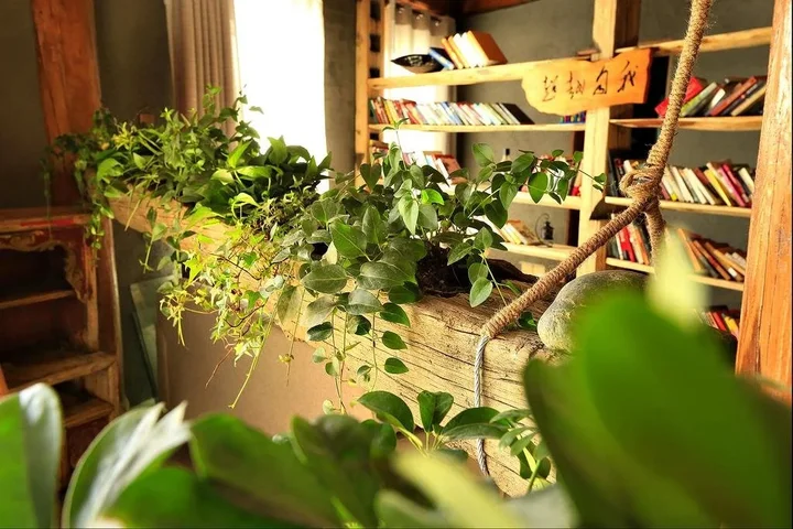 Шангри-Ла: Wufu Hostel