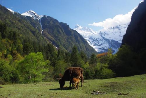 Шангри-Ла: Yubeng No.1 Guanjing Inn