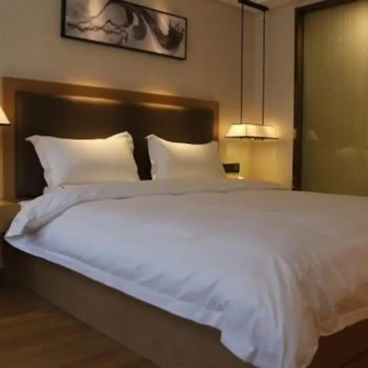 Чжэнчжоу: Starway Hotel