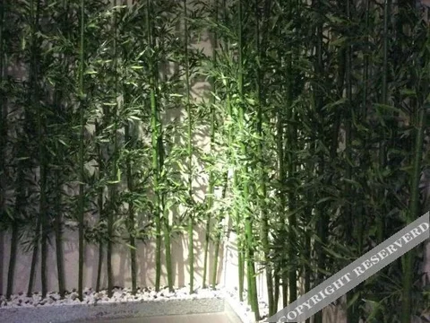 Шаньтоу: Young Tree Hotel