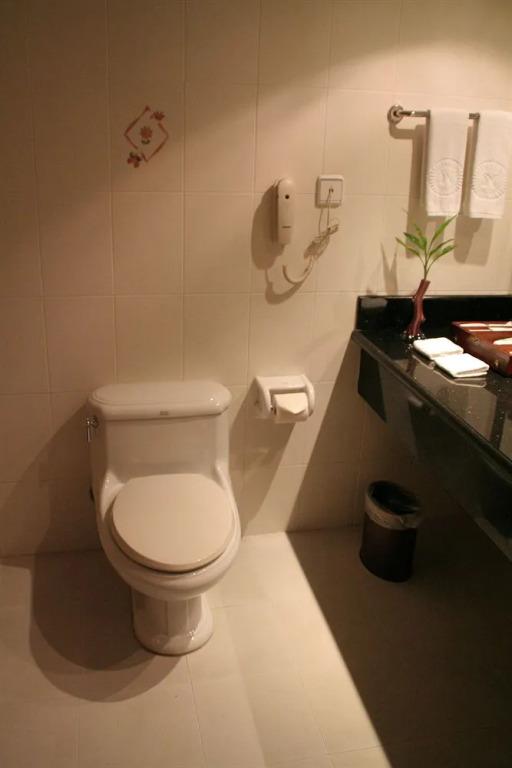 Вэньчжоу: New Southasia Hotel