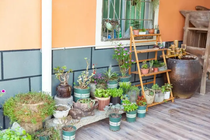 Сямынь: Xiamen Guiran Hostel