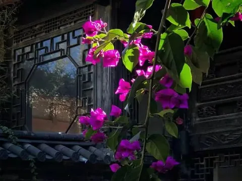 Лицзян: Lijiang Ten Courtyard Inn