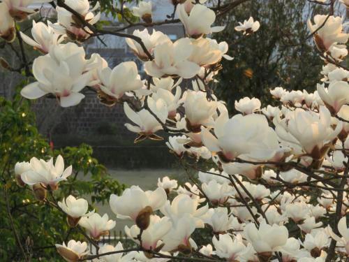 Хуаншань: September Hui zhou Homestay