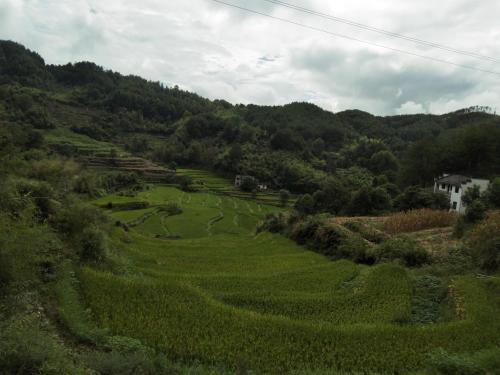 Хуаншань: September Hui zhou Homestay