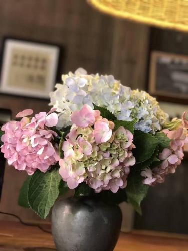 Хуаншань: September Hui zhou Homestay
