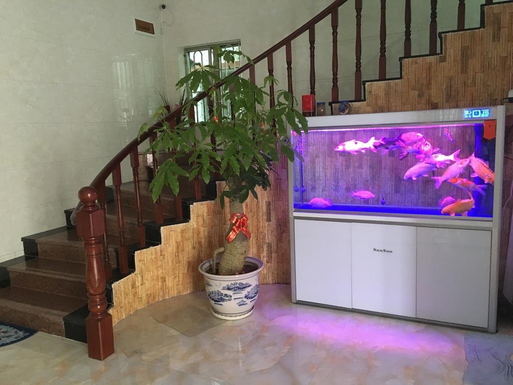 Хойчжоу: Shuangyuewan Happy Inn