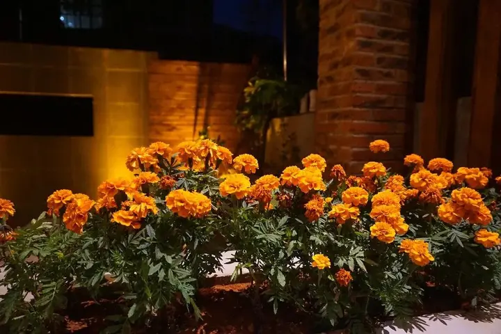 Гуйлинь: Yuanxiang Life Inn