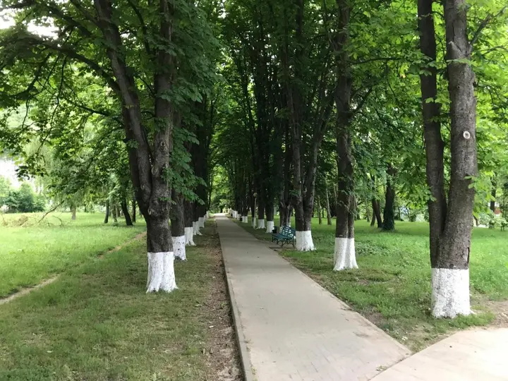 Архипо-Осиповка: Guest House Adel
