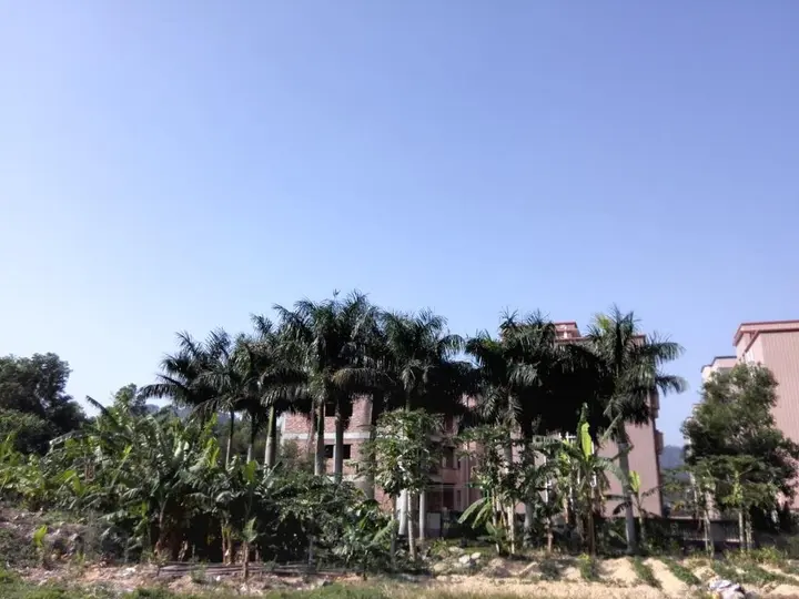 Шэньчжэнь: Shenzhen Dapeng Nanao Xing Kong Youth Hostel