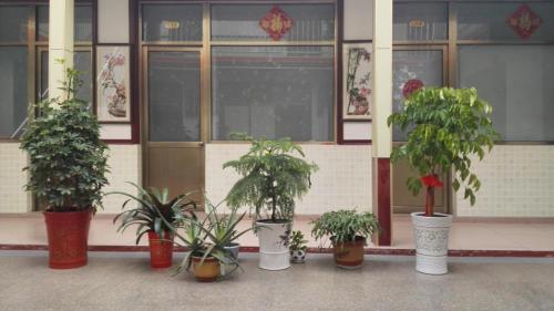 Жичжао: Rizhao Renjiatai Ocean Taste Farm Stay