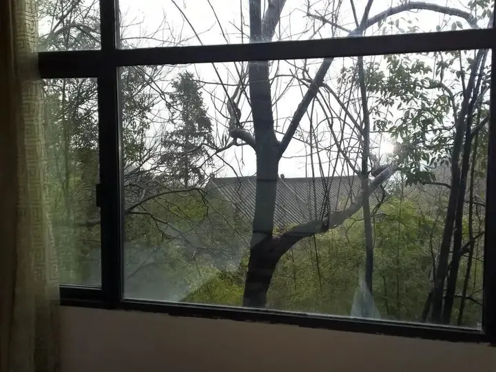 Шиянь: Wudangshan Dayue Hotel