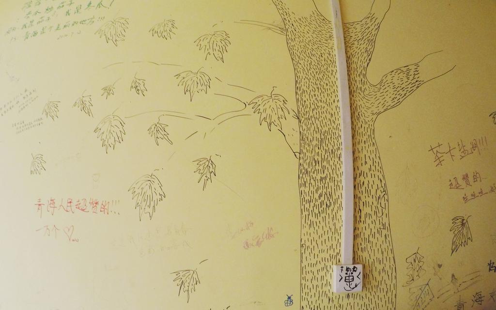 Синин: Xi Hai Zhu Hostel Xining