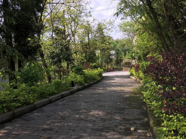 Чунцин: Zoo Courtyard Hostel