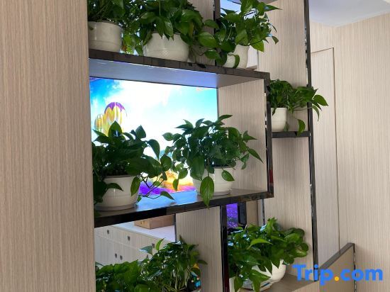 Шэньчжэнь: Ruiting Boutique Hotel (Shenzhen Baoan Wanda Plaza Store)