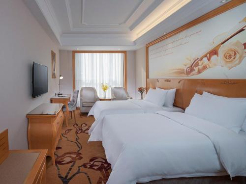 Аньцин: Vienna Hotel Tongcheng Tongkang Road